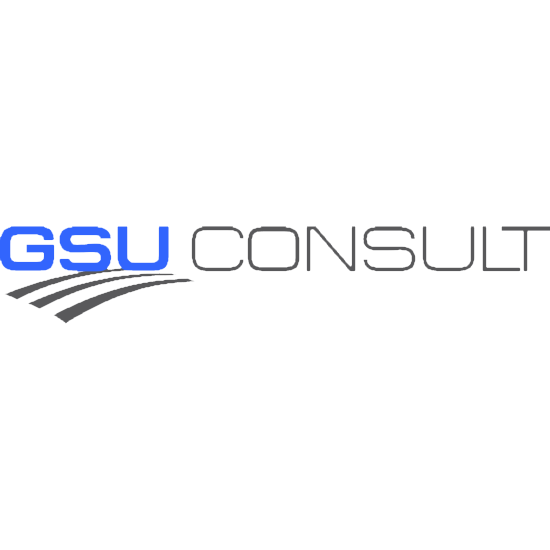 GSU Consult Logo